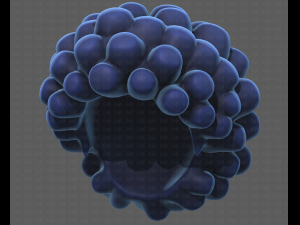 Base Hair for Boy V40 Modelo 3D