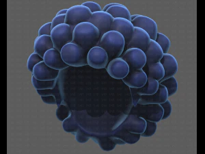 Base Hair for Boy V40 3D Model