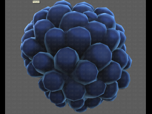 Base Hair for Boy V40 Modelo 3D
