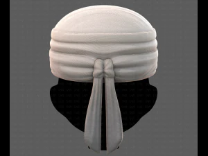 Cap V40 3D Model