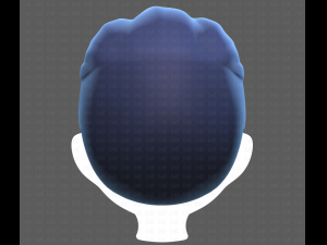 Base Hair for Boy V41 Modèle 3D