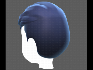 Base Hair for Boy V41 Modèle 3D