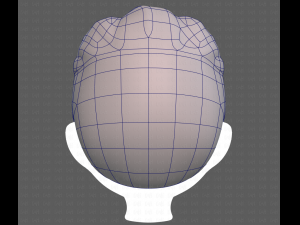 Base Hair for Boy V41 Modèle 3D