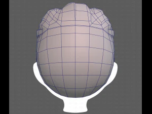 Base Hair for Boy V41 3D Model
