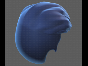 Base Hair for Boy V41 Modèle 3D