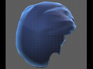 Base Hair for Boy V41 Modèle 3D