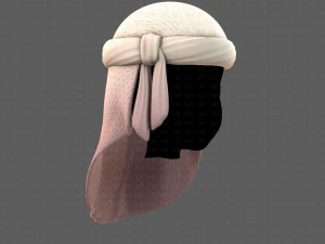 Cap V41 3D Model