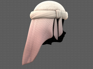 Cap V41 3D 모델