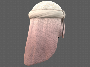 Cap V41 3D 모델