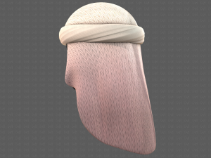 Cap V41 3D 모델