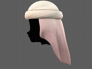 Cap V41 3D 모델
