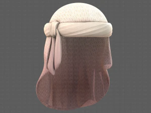 Cap V41 3D Model