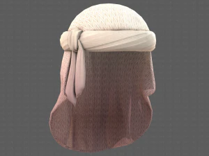 Cap V41 3D Model