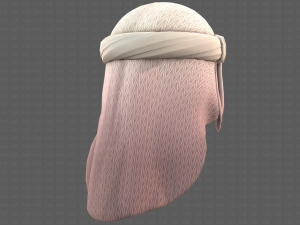 Cap V41 3D 모델