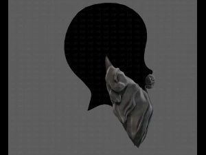 Barba V33 Modello 3D