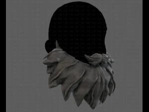 Barba V33 Modello 3D