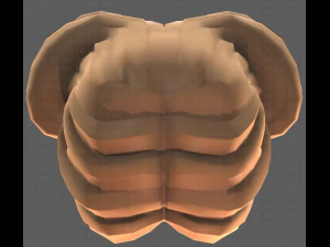 Base Hair for girl V43 3D Model