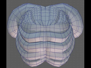 Base Hair for girl V43 3D Model