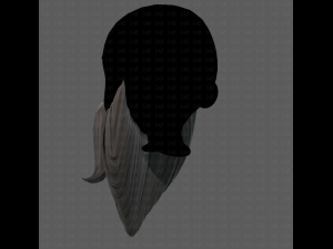 Beard V34 3D 模型