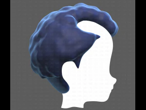 Base Hair for Boy V43 3D Model