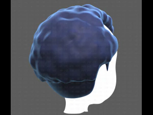 Base Hair for Boy V43 3D Model
