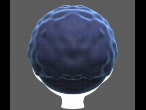Base Hair for Boy V43 3D Model