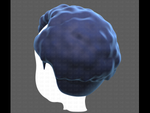 Base Hair for Boy V43 Model 3D