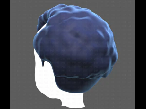 Base Hair for Boy V43 3D Model