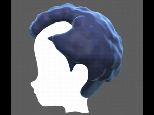 Base Hair for Boy V43 3D Model