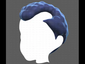 Base Hair for Boy V43 3D Model