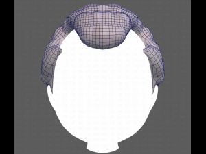 Base Hair for Boy V43 3D Model