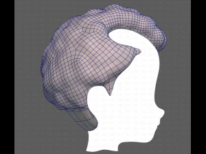 Base Hair for Boy V43 3D Model