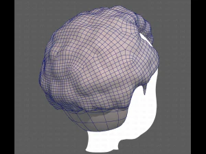 Base Hair for Boy V43 3D Model