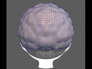 Base Hair for Boy V43 Model 3D