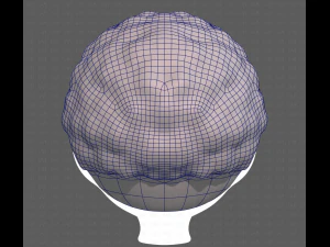 Base Hair for Boy V43 3D Model