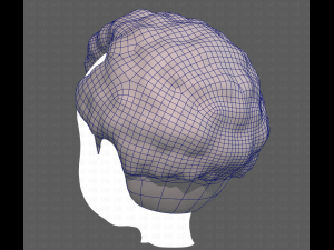 Base Hair for Boy V43 Model 3D