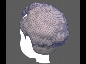 Base Hair for Boy V43 3D Model