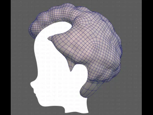 Base Hair for Boy V43 3D Model