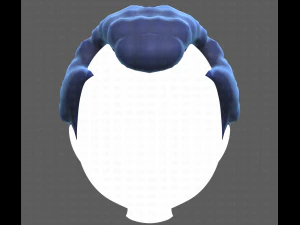 Base Hair for Boy V43 3D Model