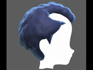 Base Hair for Boy V43 3D Model