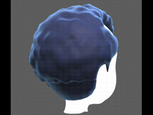 Base Hair for Boy V43 3D Model