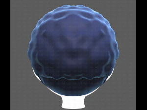 Base Hair for Boy V43 3D Model