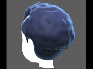 Base Hair for Boy V43 3D Model