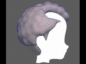 Base Hair for Boy V43 Model 3D