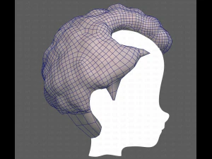 Base Hair for Boy V43 3D Model