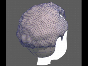 Base Hair for Boy V43 3D Model