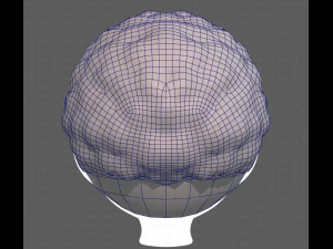 Base Hair for Boy V43 3D Model