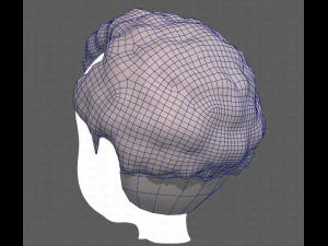 Base Hair for Boy V43 3D Model