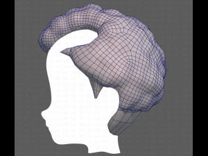 Base Hair for Boy V43 3D Model