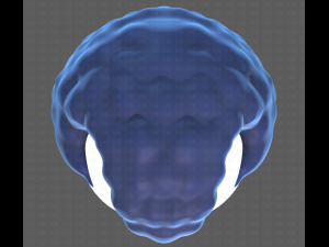 Base Hair for Boy V43 Model 3D